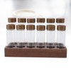 12pcs Coffee Bean Storage Tubes Glass Sealed Dosing Coffee Bean