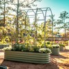 Vego Garden Modular Arched Trellis System Single Section 1.5' Long