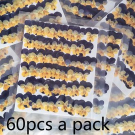 YUNZHI Natural Pansy Dried Pressed Flowers for Resin, Dry Flower for Candle,Epoxy Resin,Soap Making,Scrapbooking,DIY Art Crafts,Painting 60pcs/Pack