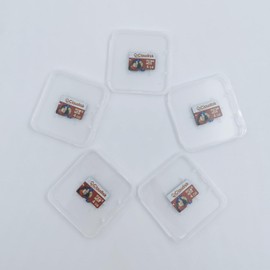 Cloudisk Pack of 5 Parrot-Prime Micro SD Card 4GB Flash Memory Card C6 Micro SDHC with SD Adapter, Card Reader (4GB)