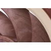Noctua NF-A12x25 ULN, Ultra Quiet Silent Fan, 3-Pin (120mm, Brown)