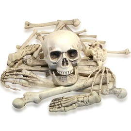 Fun Express Bag of Skeleton Bones - 28 Piece Set