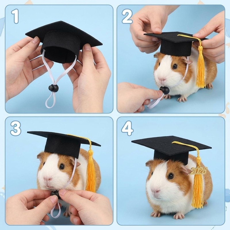 Cat Graduation Cap, Mini Graduation Caps Set for Small Pets,
