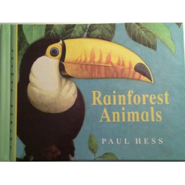 Rainforest Animals