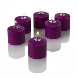 Richland Votive Candles Purple Mulberry Scented 10 Hour Burn Set of 288