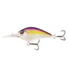 Cliff Banger 15ft Purple Nurple