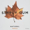 Simplygum Maple Natural Gum, 15 ct