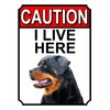 Shawprint CAUTION I LIVE HERE METAL GATE SIGN ROTTWEILER THEME