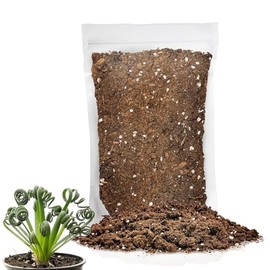 GARDENERA Premium Potting Soil Blend for Albuca Spiralis - The Ultimate Mix for Healthy, Vibrant, and Beautiful Flowers - 2 QUARTS
