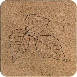 'Poison Ivy' Square Cork Trivet/Pot Stand (TR00026505)