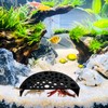 LuckyOpt Aquarium with Shrimp Skin, Shrimp Cave with Holes, Aquarium