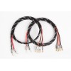Canare 4S11 HI-FI Bi-Wire Speaker Cable Pair, Braided 2 Pin