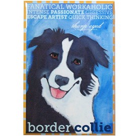 Border Collie Fridge Magnet