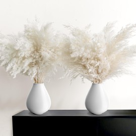 30PCS White Pampas Grass for Home Decor - Elegant Boho Decor - Premium Quality Pampas Grass Stems - Perfect for House, Nursery, Western, Wedding, Table, and Bohemian Decor