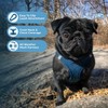Voyager Step-in Air Dog Harness - All Weather Mesh, Reflective,