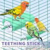 Parrot Perch Calcium Bird Bows, Bird Teeth Mouth Molar Teeth