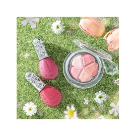 Choose 1 of 4 types of Bloom Mix Blush Compact (+ 2ml Lip Bouquet Serum included) / 블룸 믹스 블러쉬 컴팩트 4종 중 택1 (+립 부케 세럼 2ml 증정)