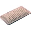 Ryco Air Filter (A1481)