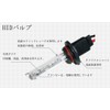 e-auto fun 55W HB4 HID Bulb, 6000K Headlight, Set of