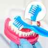 7 Pieces of Denture Toothbrushes, Denture Cleaning Brushes, Denture Accessories,