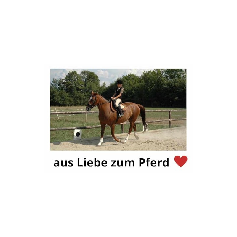 Amesbichler Reitsport HorseGuard Spur Strap Black