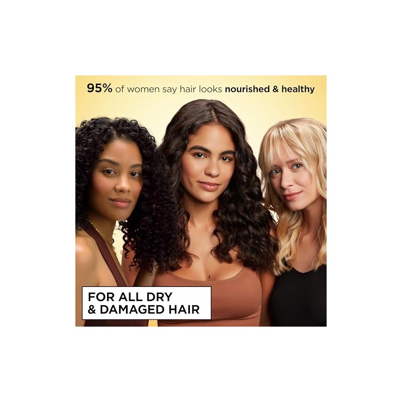 Garnier Hair Care Whole Blends Repairing Conditioner Honey Treasures for