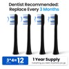 Marlincare Replacement Electric Toothbrush Heads, 4 Pack for One Year