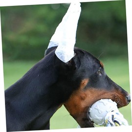 Kisangel Dog Ear Stand Fixed Rod 8 Pieces Pet Ear Support Tape and Ear Standing Tool for Dog Grooming