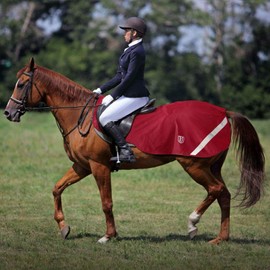 Harrison Howard Climax Reflective Waterproof Performance Fleece Kidney Cover: 4' 11'' (Rug Size 6' 3'' - 6' 6'') - Red