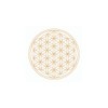 TC Mythos gold - Elegant Mythos glass with Flower of