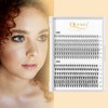 QUEWEL Cluster Lashes 240Pcs Individual Lashes 10D+20D C Curl Mix8-14mm