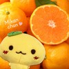 LamPlanning Squishy Mascot, Ball Chain, Fluffy, Chubby Fruit, Bag Charm,