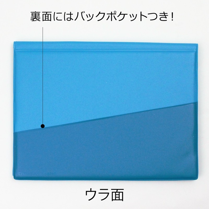 Kingjim Bag-in-Bag Flatty Carrying Case, Standard