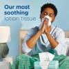 Puffs Plus Lotion Facial Tissues, 8 Family Boxes, 124 124