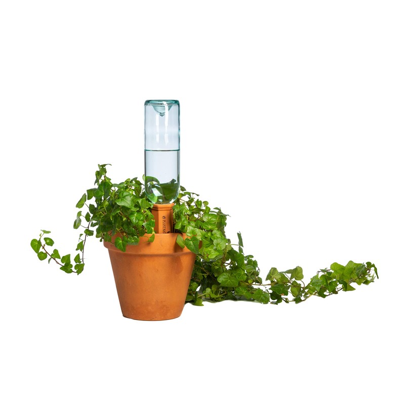 Plant Nanny 4 Count Wine & Plastic Bottle Stake Set