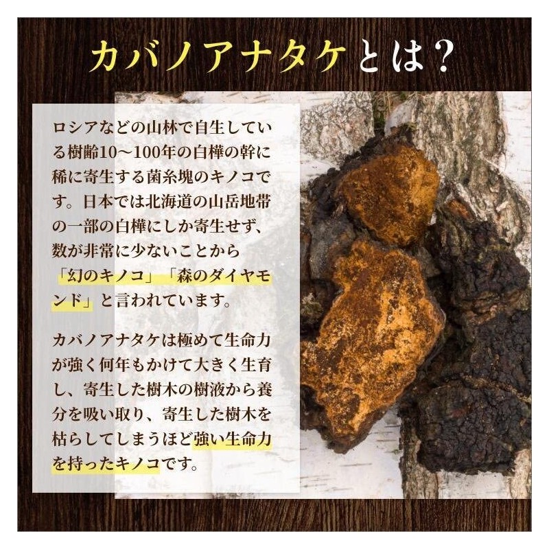 Chaga Pill Bottle, Chaga Power Chaga, Phantom Mushroom, Made in
