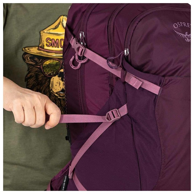 Osprey Unisex's Sportlite 25 Backpack, Pine Leaf Green, S/M