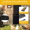 Automatic Chicken Coop Door Extra Large Solar Powered Auto Chicken