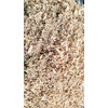 Shannons Odor be Gone - 5 POUNDS All Natural - No Chemicals Composting Sawdust for Compost Toilet - No More Odor