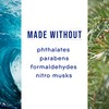 Glade PlugIns Refills Air Freshener, Sea Mist & Cypress, Scented