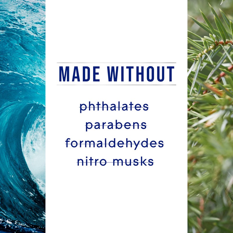 Glade PlugIns Refills Air Freshener, Sea Mist & Cypress, Scented