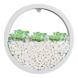 Round Wall Planter - Clear Vase Air Plants Holders | Wall Vase Succulent Planter Round Flower Pot Vase Decoration Container Holder for Succulents Air Plants
