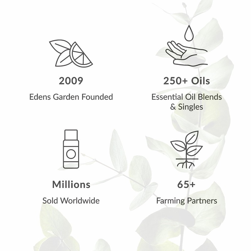 Edens Garden Top Essential Oils 6 Set – 100% Pure