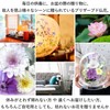 Hanayu Buddha Flowers, Preserved Flowers, Artificial Flowers, White Version, Clear