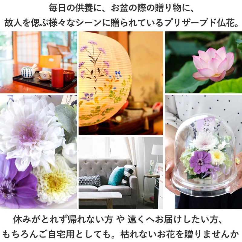 Hanayu Buddha Flowers, Preserved Flowers, Artificial Flowers, White Version, Clear