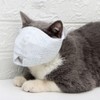 DONGKER Cat Muzzle, Mesh Anti Bite Kitty Mouth Cover for