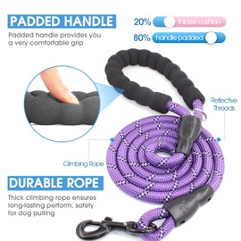BAAPET 2/4/5/6 FT Dog Leash with Comfortable Padded Handle and Highly Reflective Threads for Small Medium and Large Dogs (6FT-1/2'', Purple)