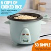 Tasty Mini Rice Cooker with Removable Nonstick Bowl and Auto
