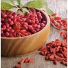 Tree Goji Berry Plant 2pcs Cuttings With Pot Live Plant