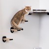 COOLEX 3-in-1 Cat Wall Steps - Climbing Wall Furniture &